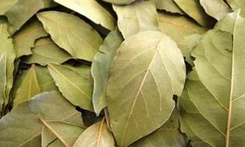 تجربتي مع شرب السدر