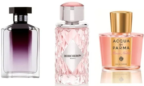 اعرف افضل عطر نسائي من درعه 2024