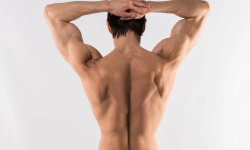 اعرف أهم 50 تفسير لابن سيرين حلم الظهر في المنام