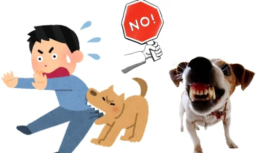 تعرف على أهم 100 تفسير لابن سيرين لحلم الكلب يعض في المنام