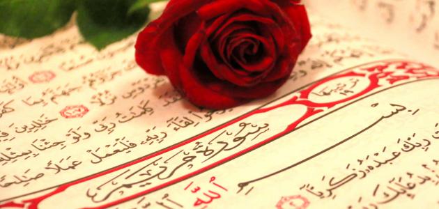 تأويلات ابن سيرين لرؤية إسم مريم في المنام