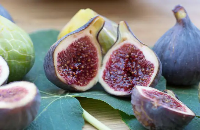 أهم 20 تفسير لحلم التين لابن سيرين