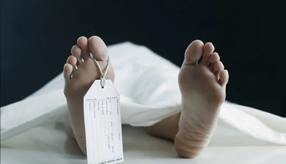 تفسير حلم موت الملك في المنام