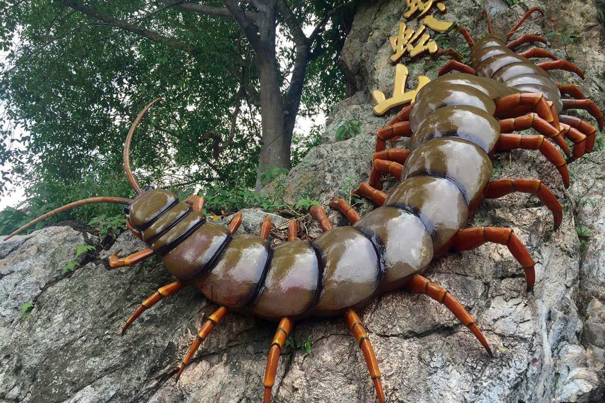 تفسير حلم رؤية ام اربعة واربعين في المنام